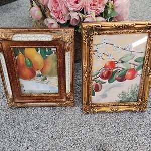 Gold Frames with Vintage Fruit Prints